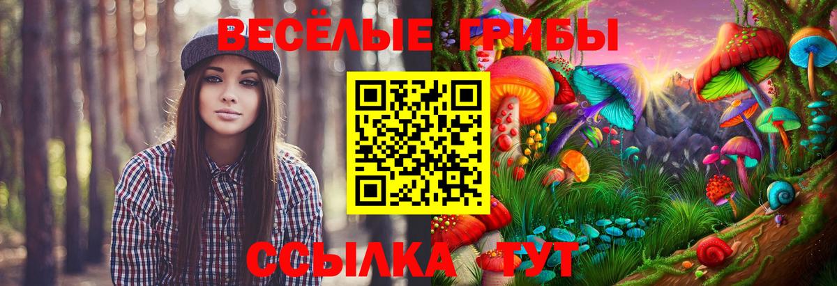 Домодедово  Галлюциногенные грибы прущие грибы  Вход с VPN  Псилоцибиновые грибы Magic Shrooms 