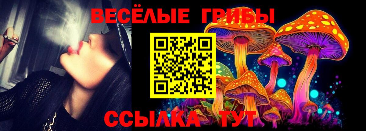 Галлюциногенные грибы Magic Shrooms Домодедово